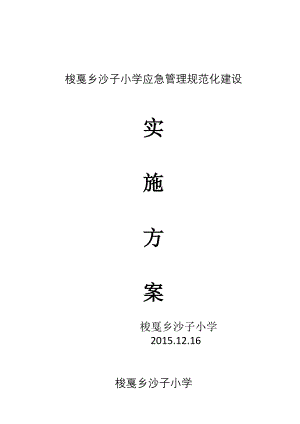 梭戛乡沙子小学应急管理规范化建设实施方案.doc