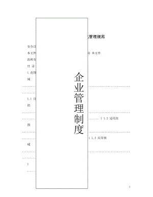 集团公司安全目视化管理规范.doc