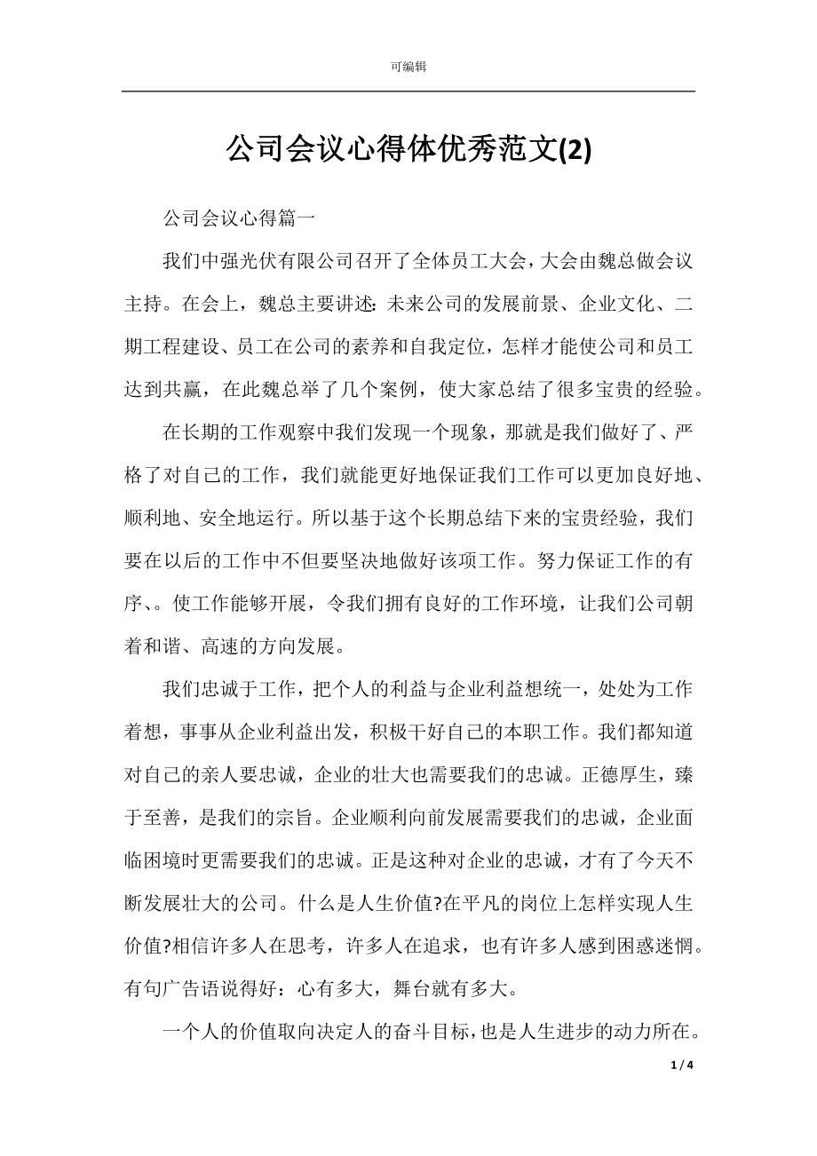 公司会议心得体优秀范文(2).docx_第1页