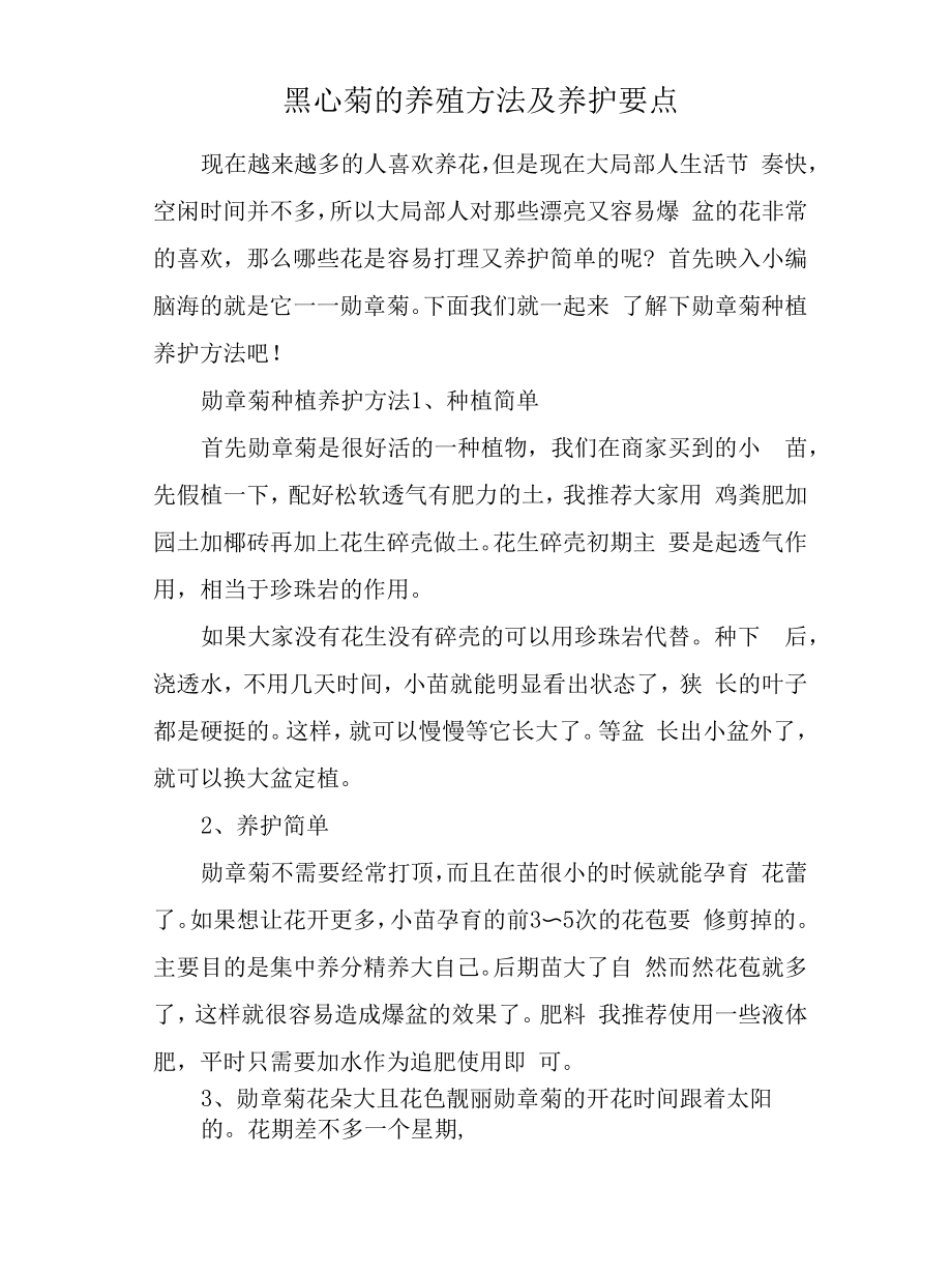 黑心菊的养殖方法及养护要点.docx_第1页