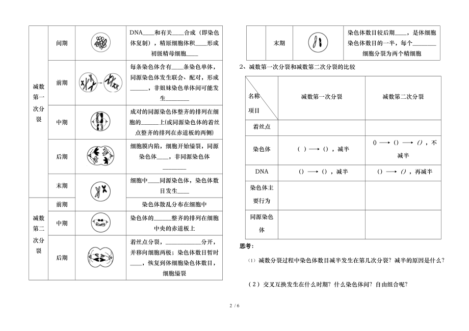 高三一轮复习减数分裂导学案.doc_第2页