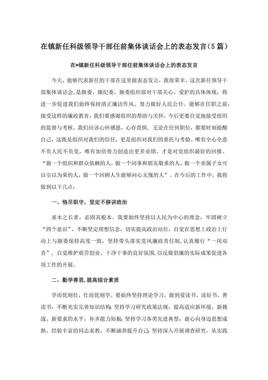 5篇在镇新任科级领导干部任前集体谈话会上的表态发言.docx_第1页