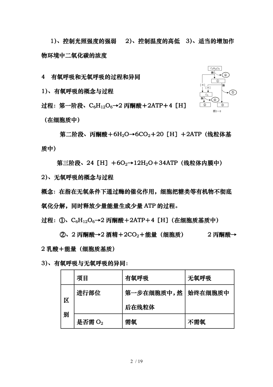 高中生物光合作用呼吸作用专项训练.doc_第2页