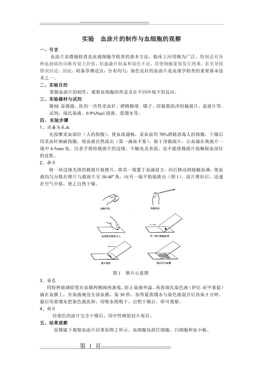 实验血涂片的制作与血细胞的观察(3页).doc_第1页