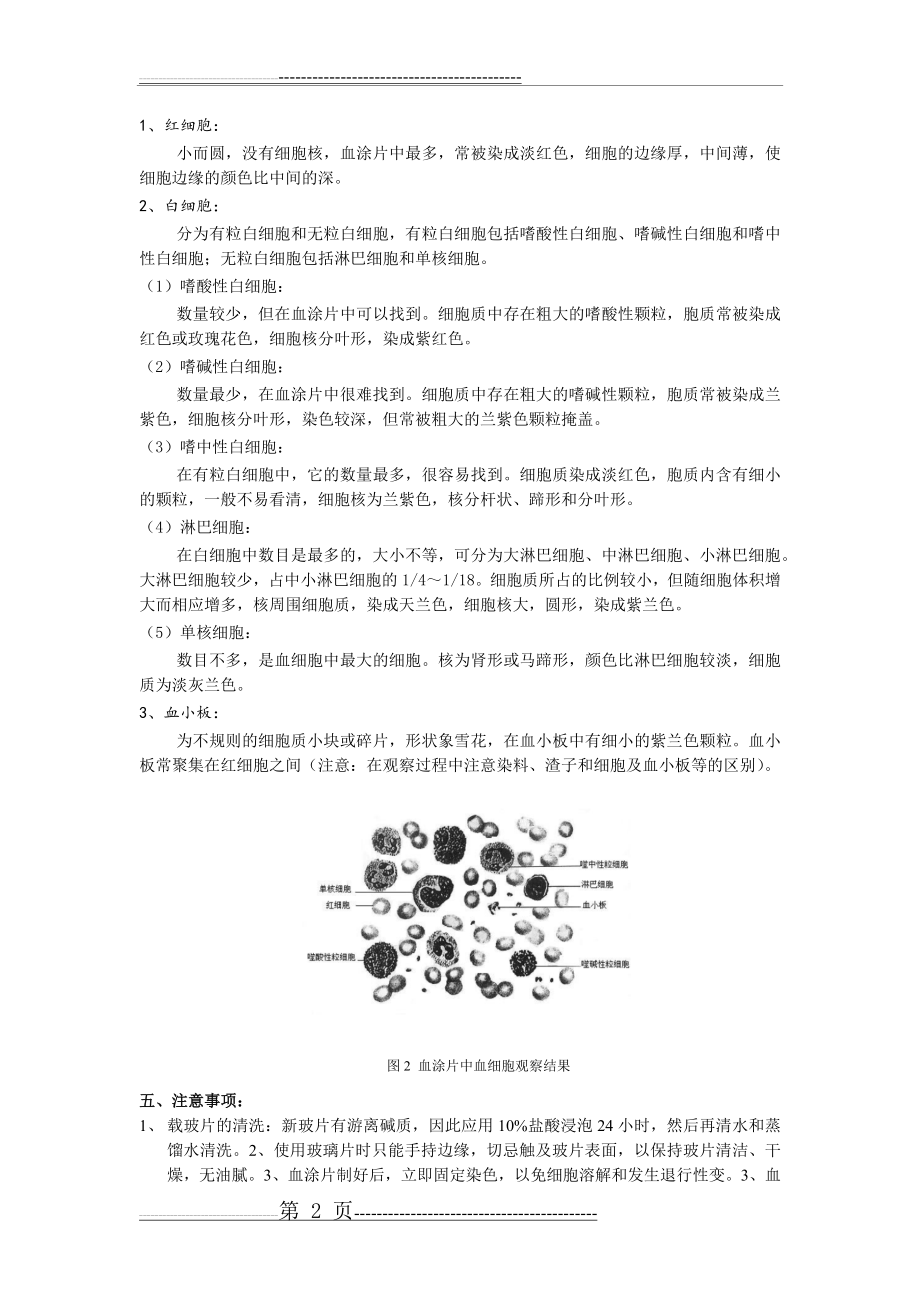 实验血涂片的制作与血细胞的观察(3页).doc_第2页