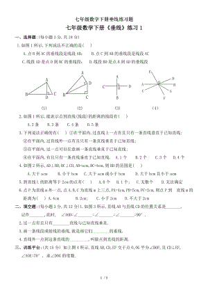 七年级数学下册垂线练习题.doc