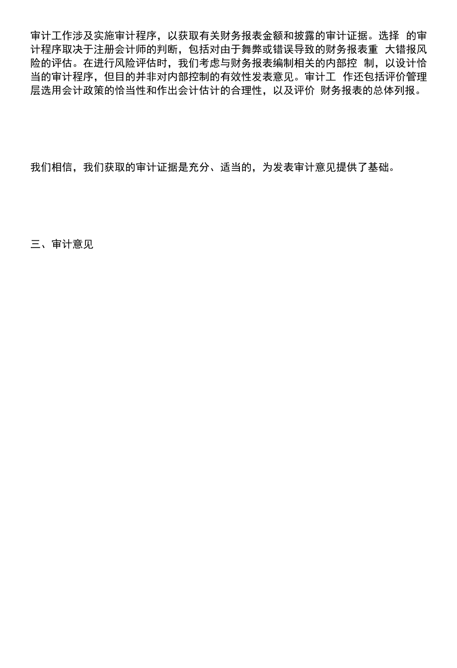 公司强调事项审计报告模板.docx_第2页