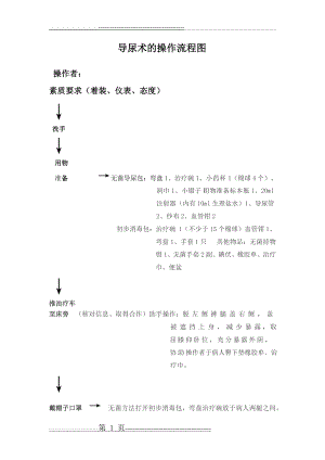 导尿术的操作流程图(3页).doc