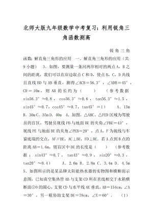 北师大版九年级数学中考复习：利用锐角三角函数测高.docx