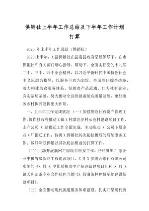 供销社上半年工作总结及下半年工作计划打算.docx