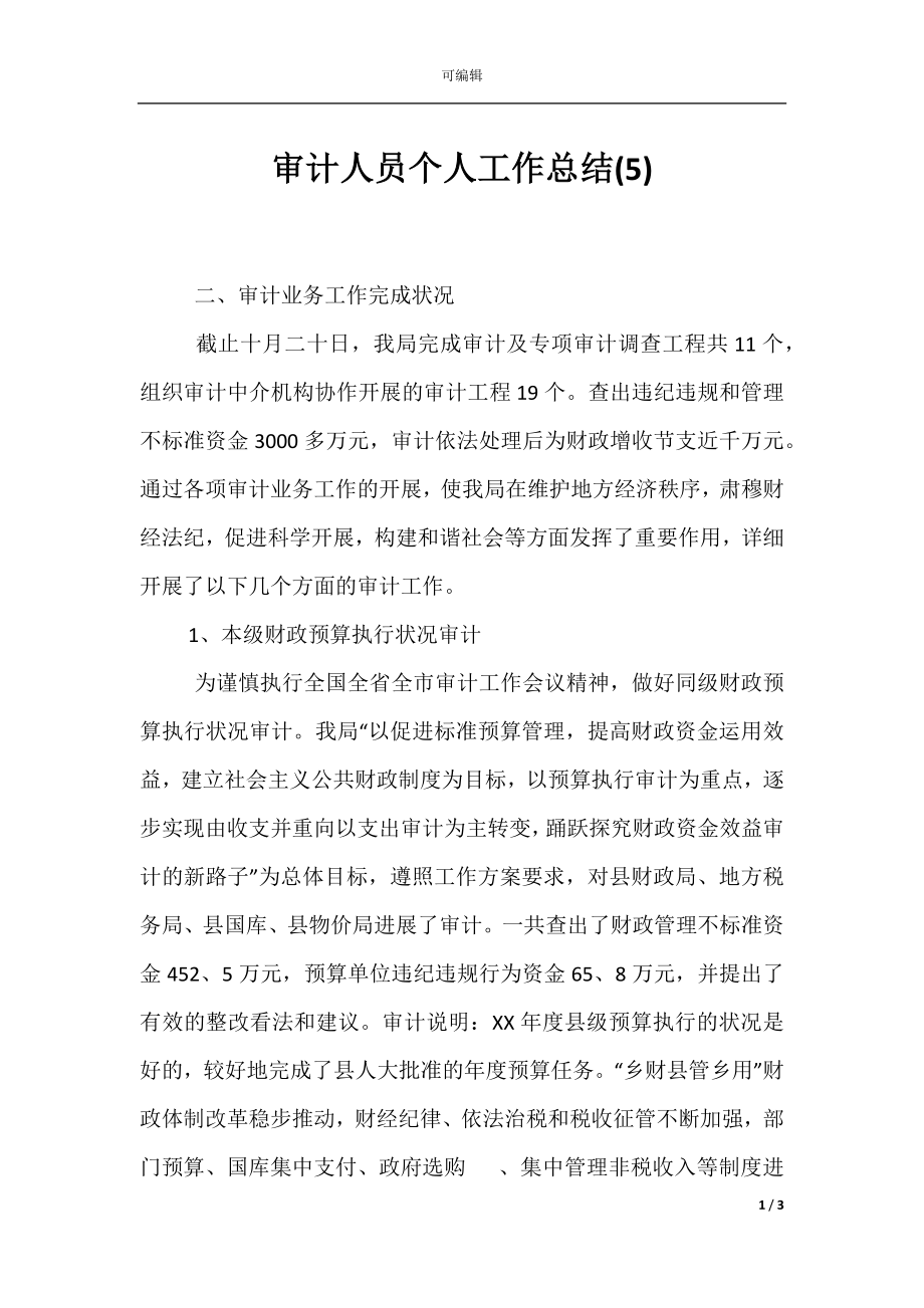 审计人员个人工作总结(5).docx_第1页