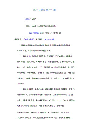 绒毛白蜡新品种华雄.docx