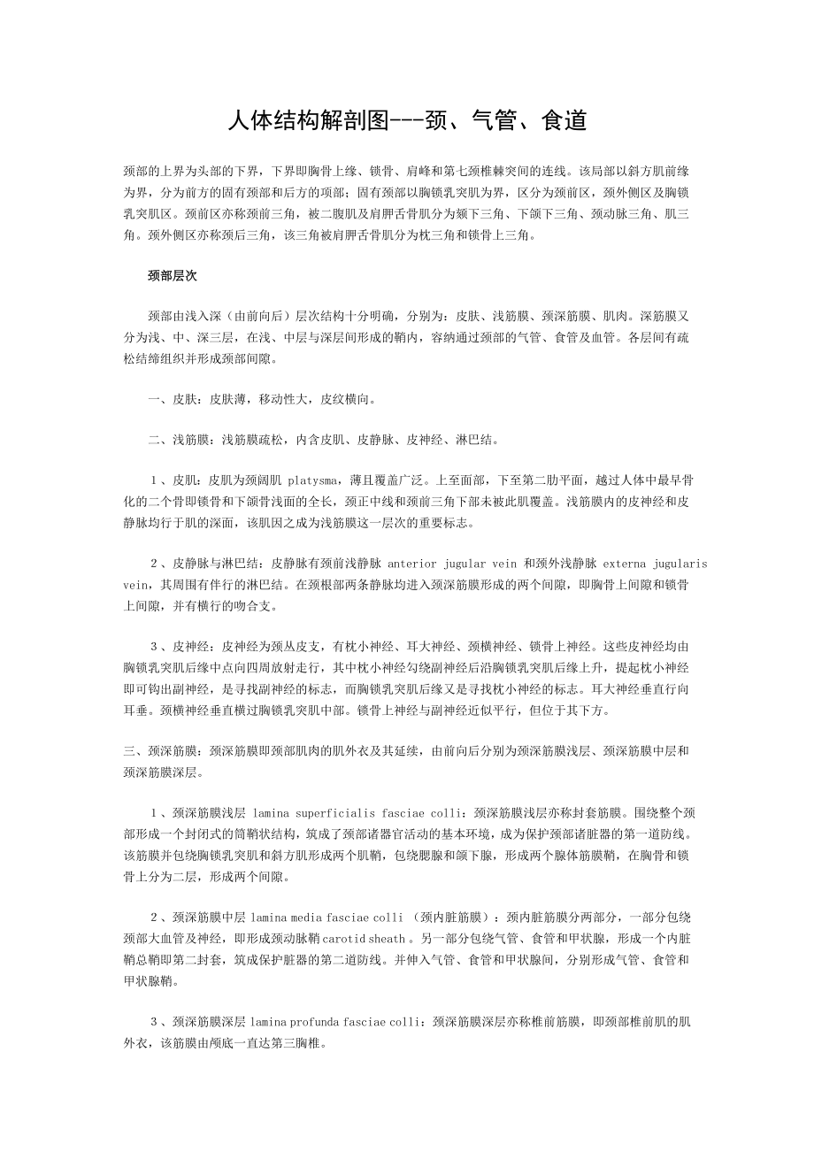 人体结构解剖图颈气管食道.doc_第1页