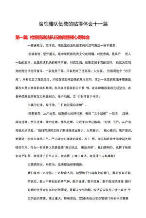 检察院政法队伍教育整顿心得体会十一篇.docx