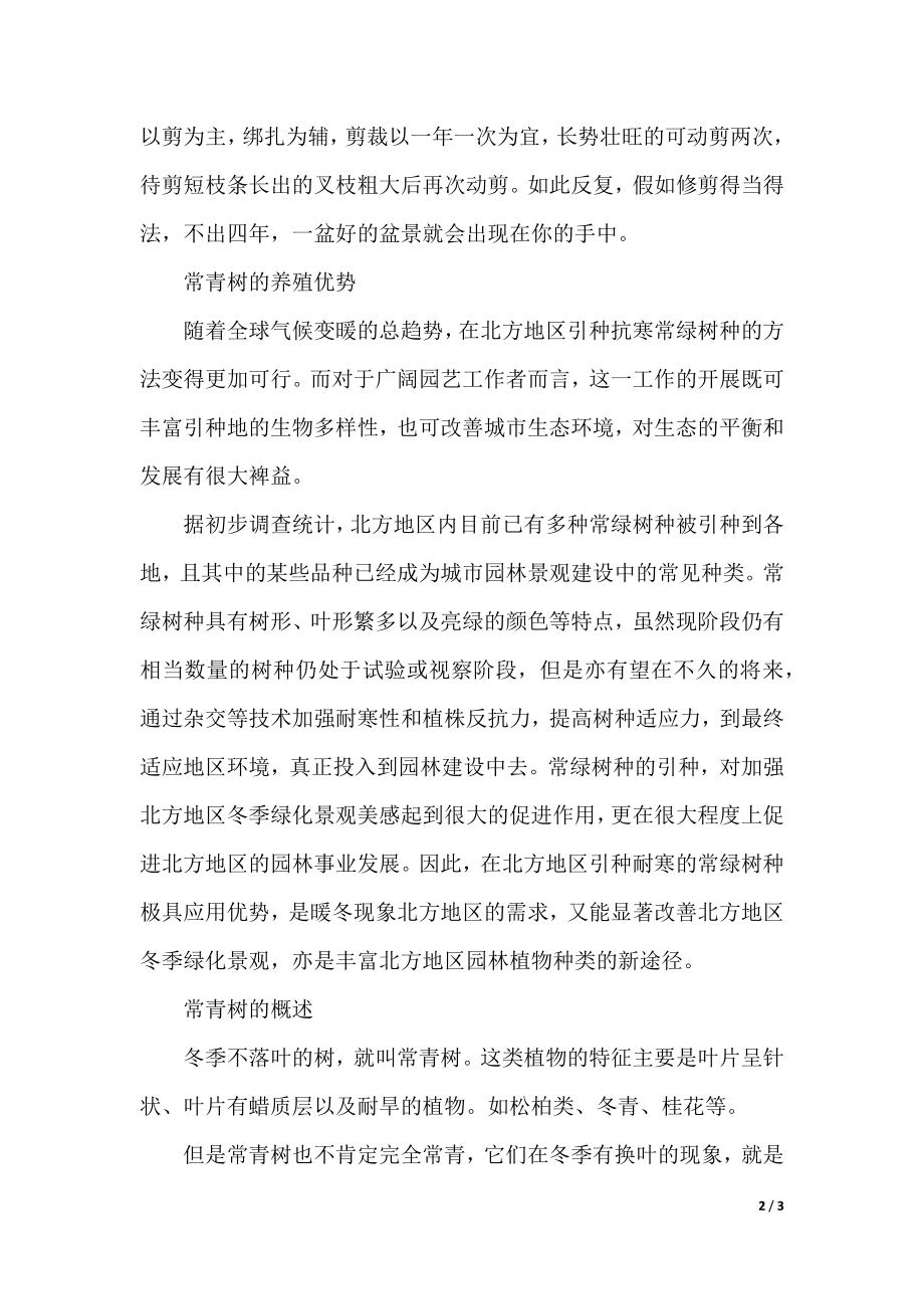 常青树养护方法有哪些.docx_第2页