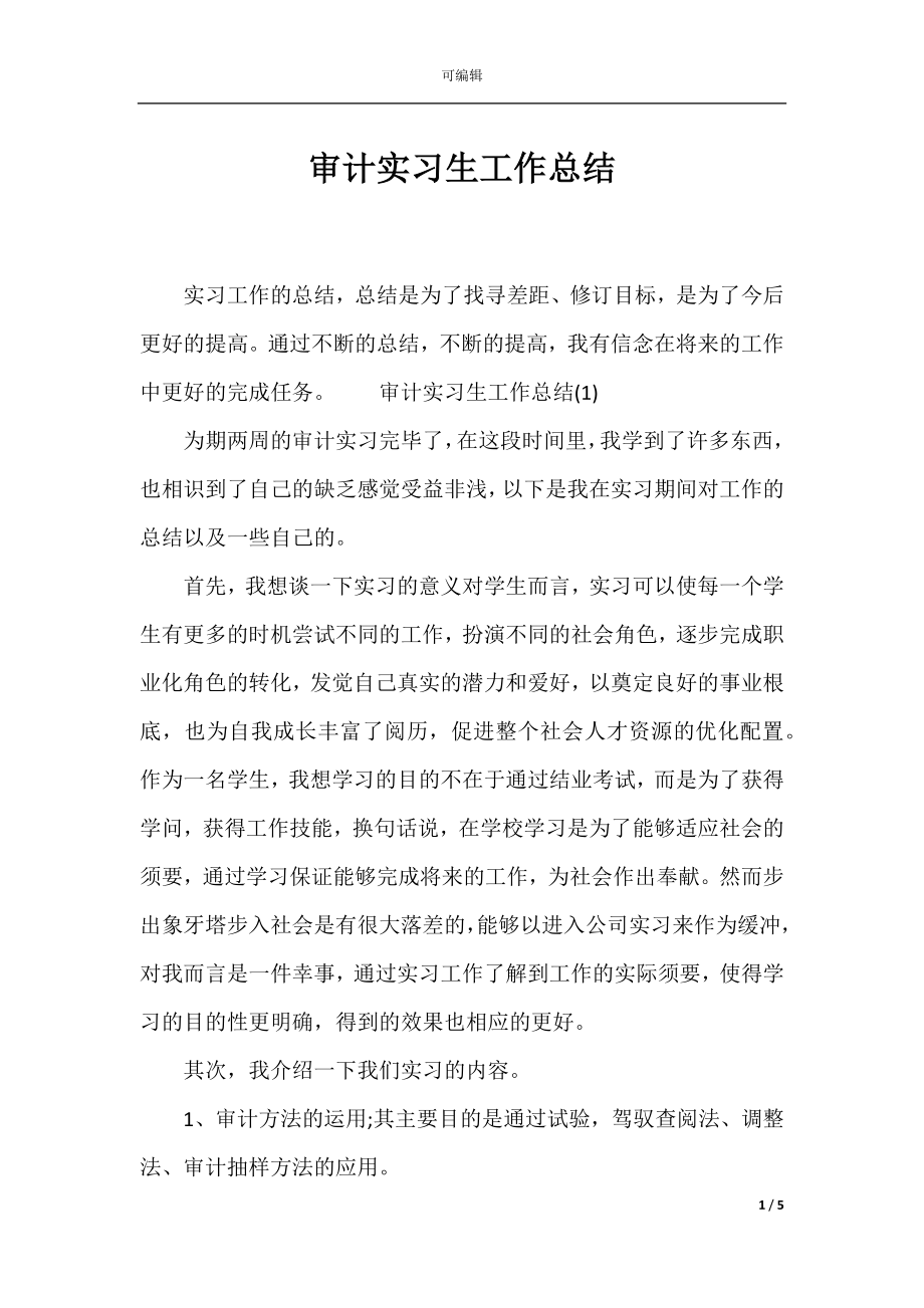 审计实习生工作总结_1.docx_第1页