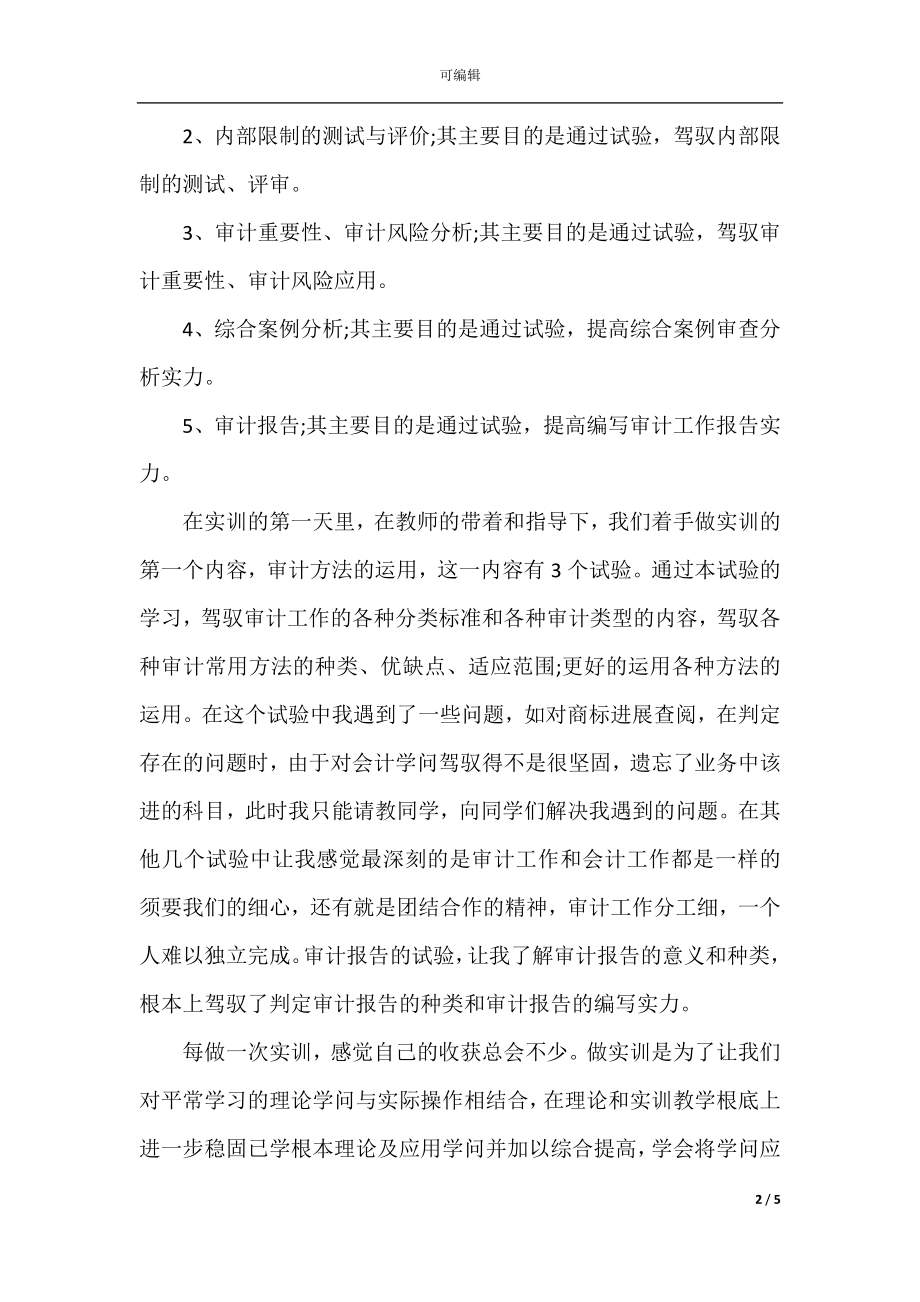 审计实习生工作总结_1.docx_第2页