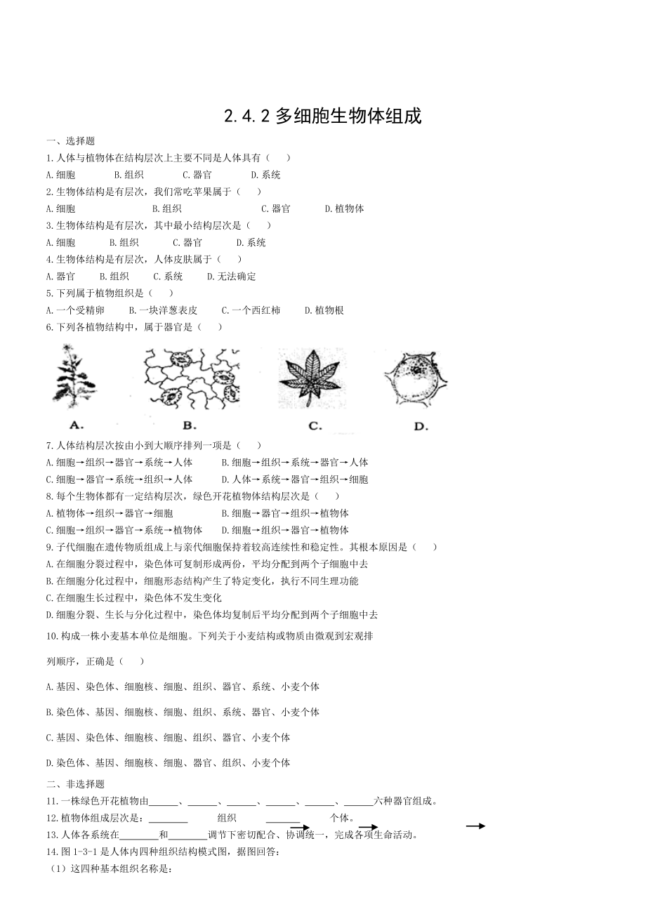 七年级生物上册242多细胞生物体的组成同步测试苏教版.doc_第1页