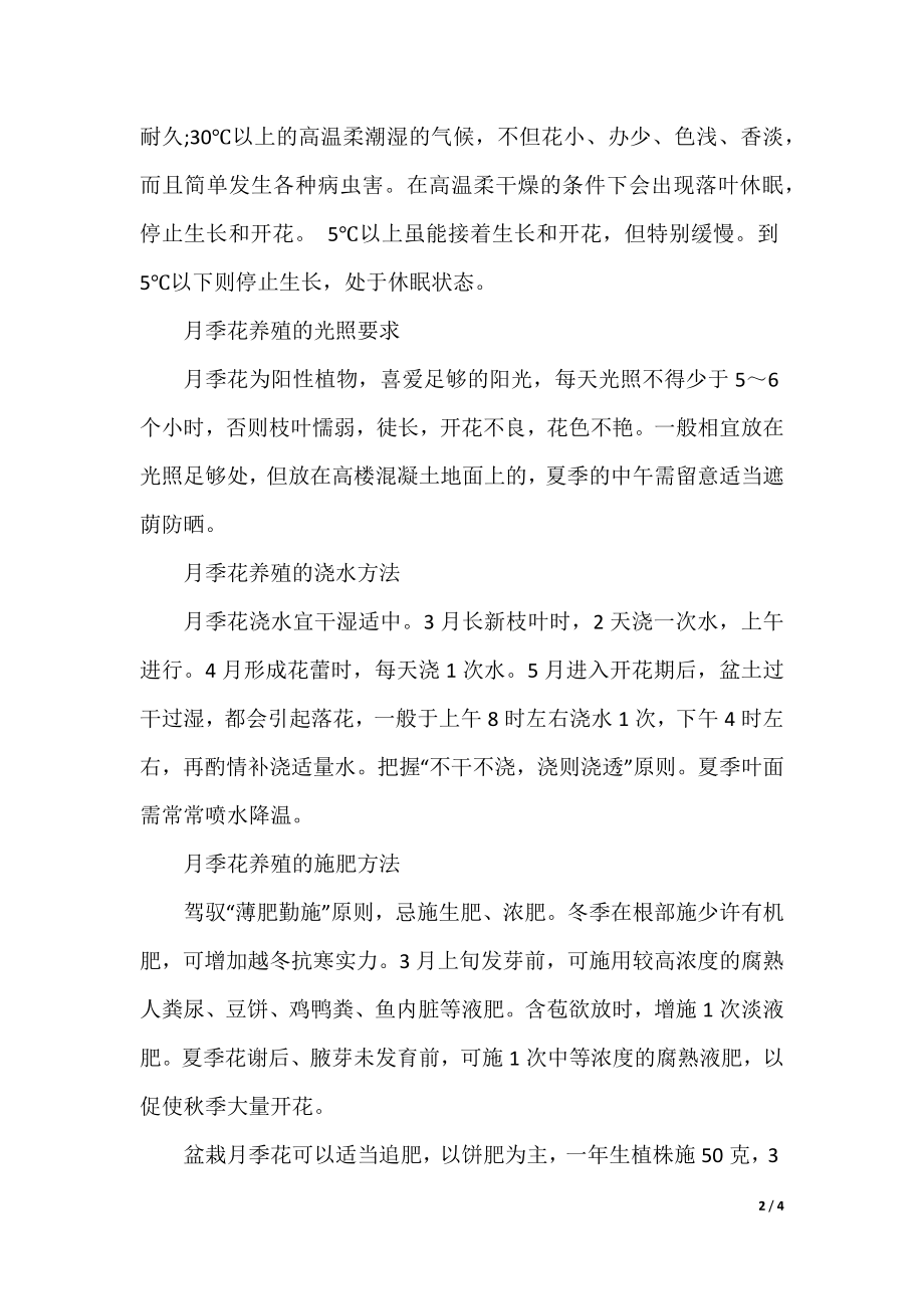 关于月季花的养殖方法和注意事项.docx_第2页