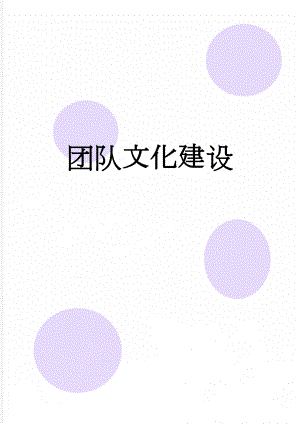 团队文化建设(13页).doc