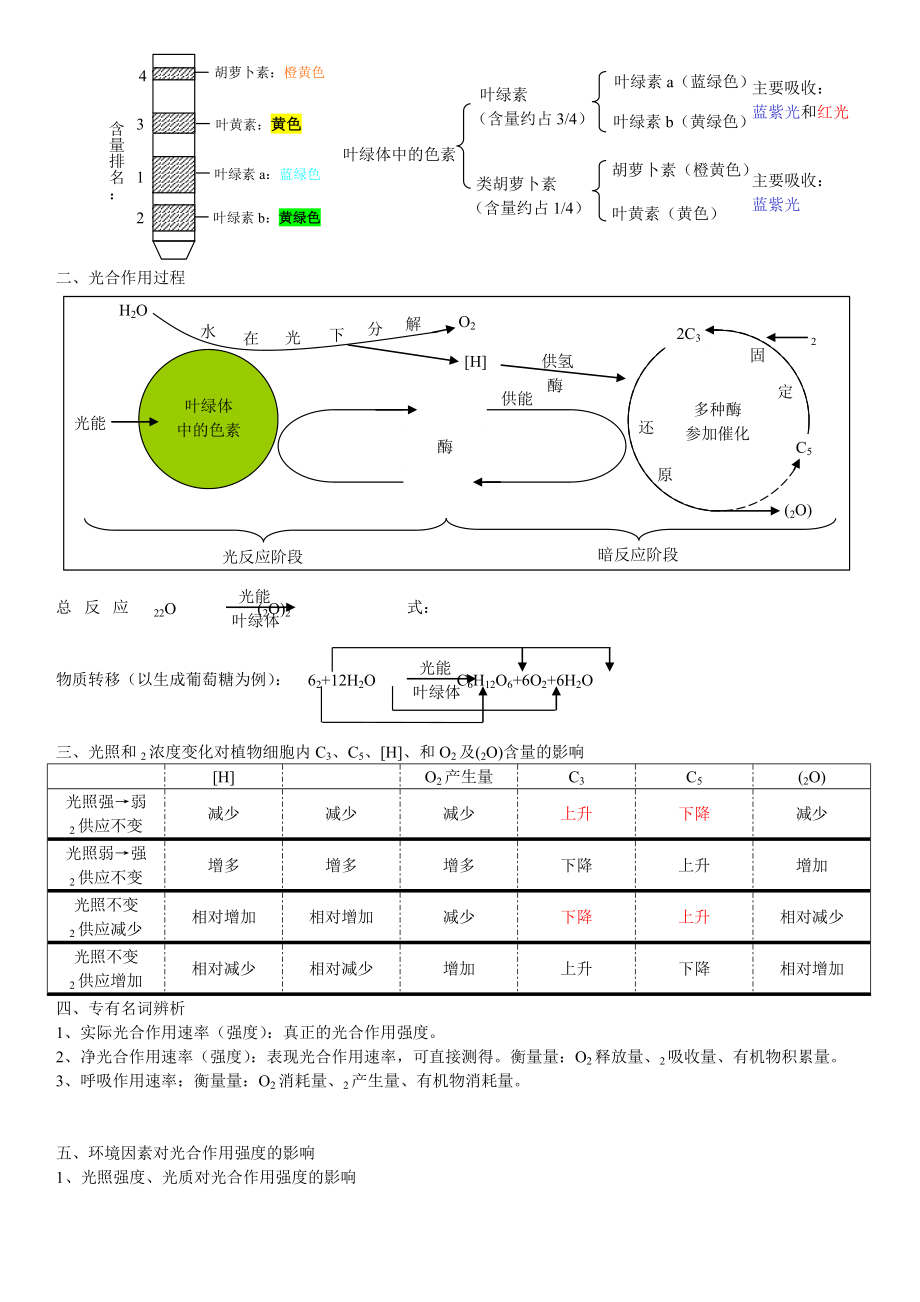 重难点高中生物光合作用与呼吸作用复习提纲.doc_第2页