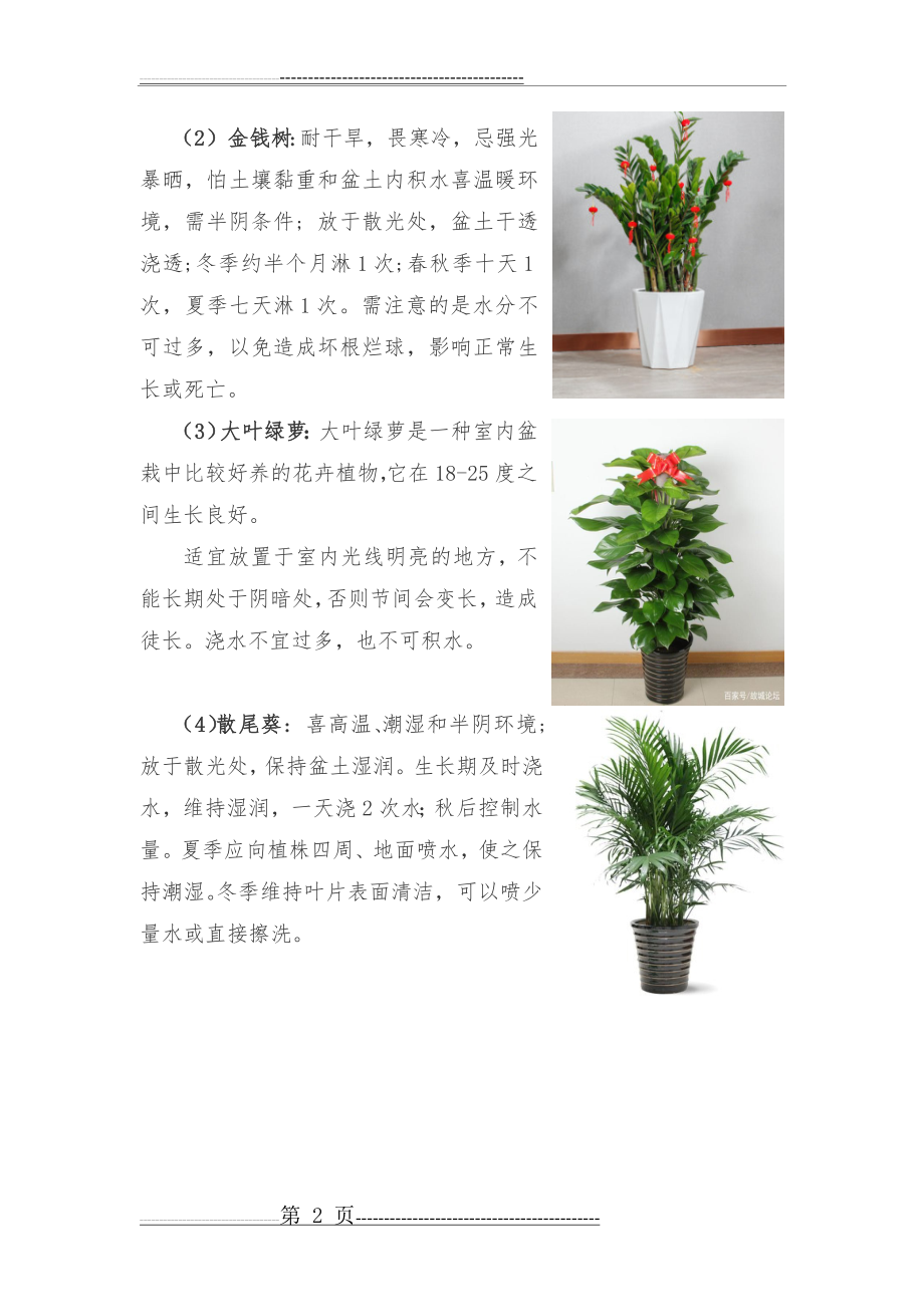 室内植物养护方案(5页).doc_第2页