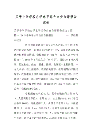 关于中学学校办学水平综合自查自评报告范例.docx