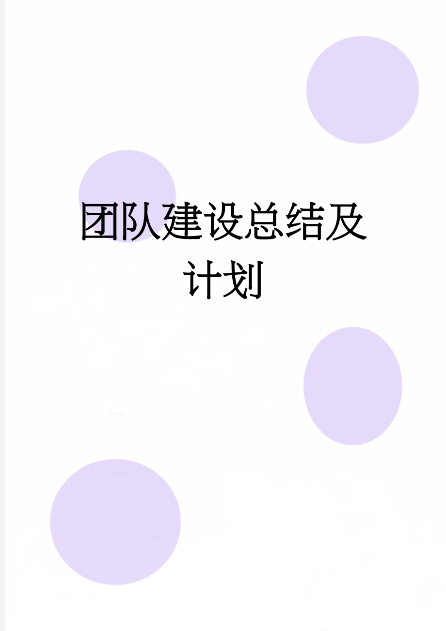 团队建设总结及计划(11页).doc_第1页