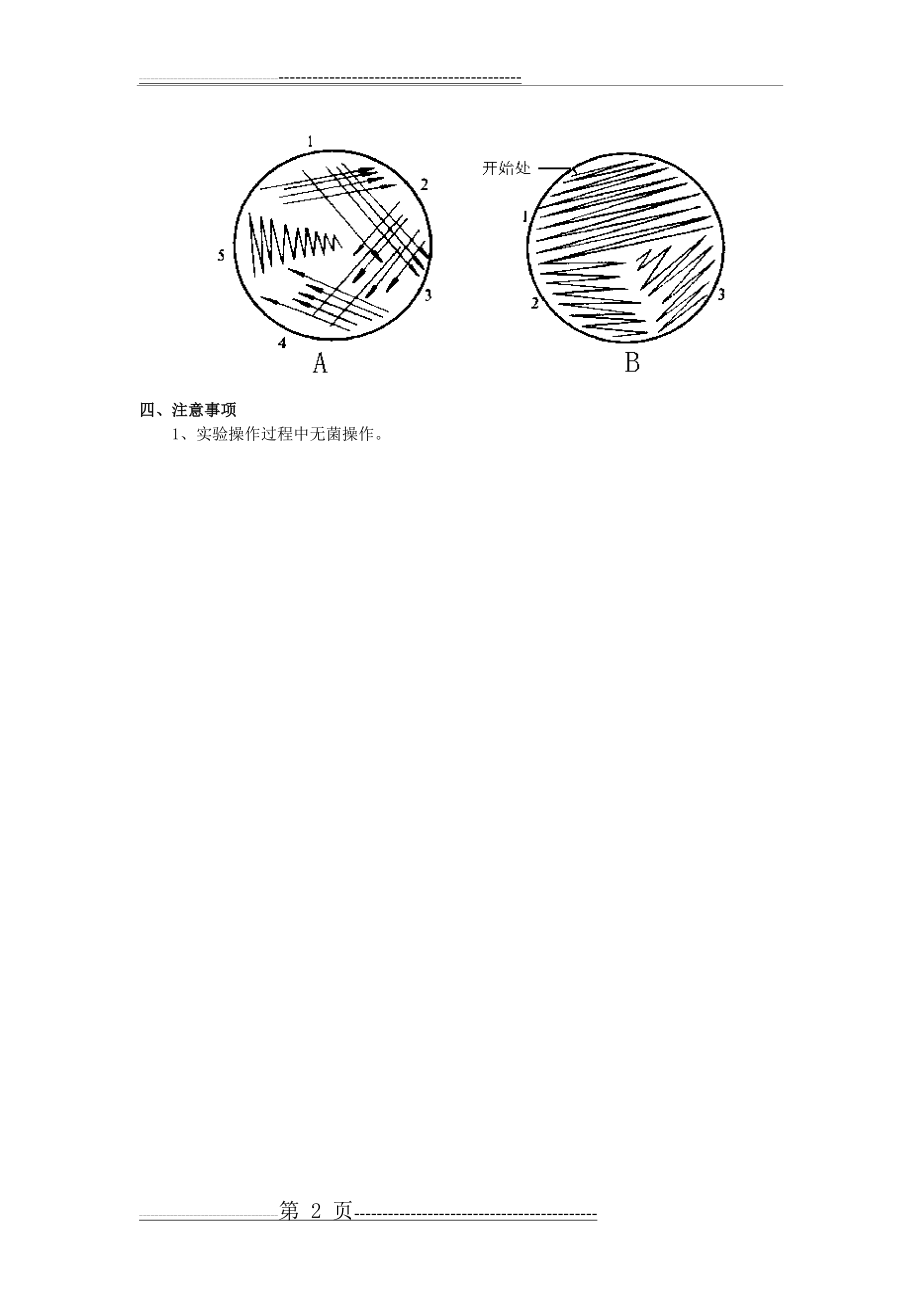 实验四：细菌的接种、培养和分离技术(2页).doc_第2页