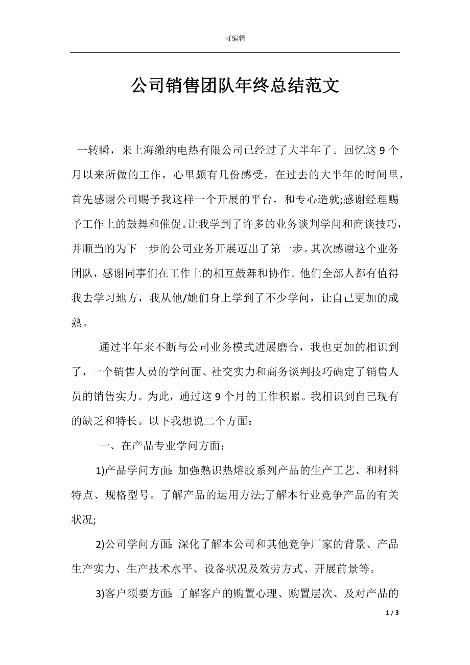 公司销售团队年终总结范文.docx_第1页