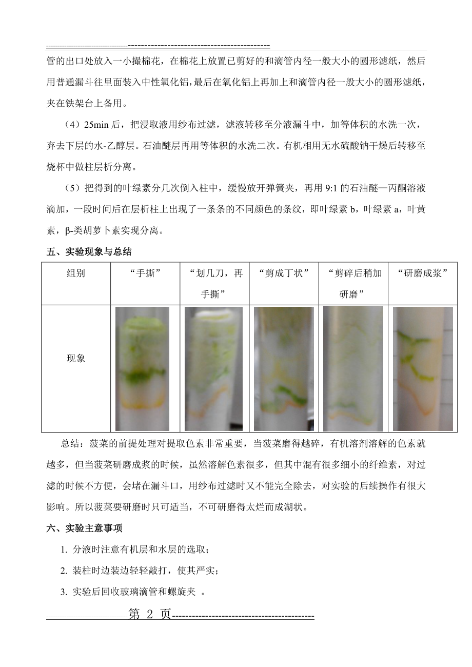 实验2 菠菜中色素的提取和分离(3页).doc_第2页