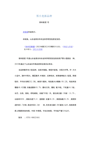 黑小麦新品种.docx