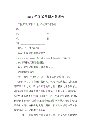 java开发试用期总结报告.docx