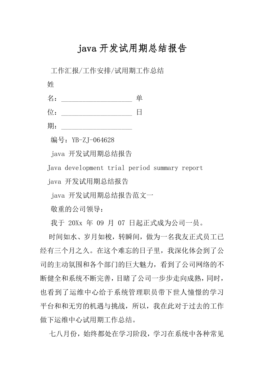 java开发试用期总结报告.docx_第1页