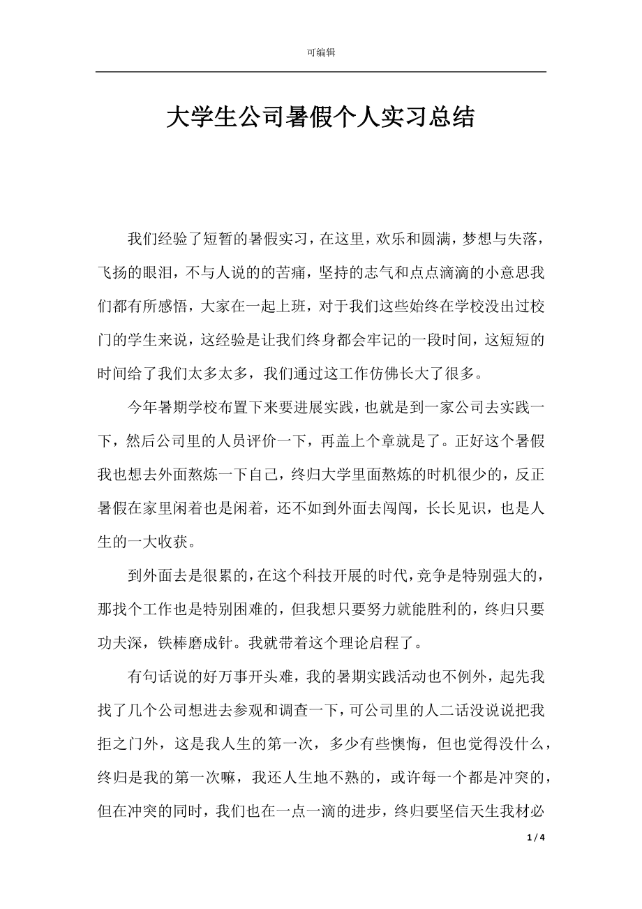 大学生公司暑假个人实习总结.docx_第1页