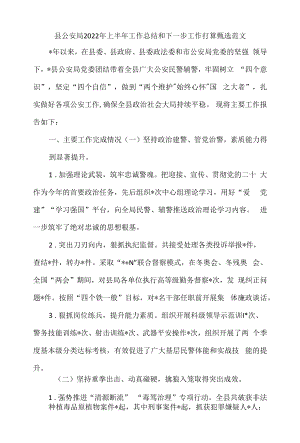 县公安局2022年上半年工作总结和下一步工作打算甄选范文.docx