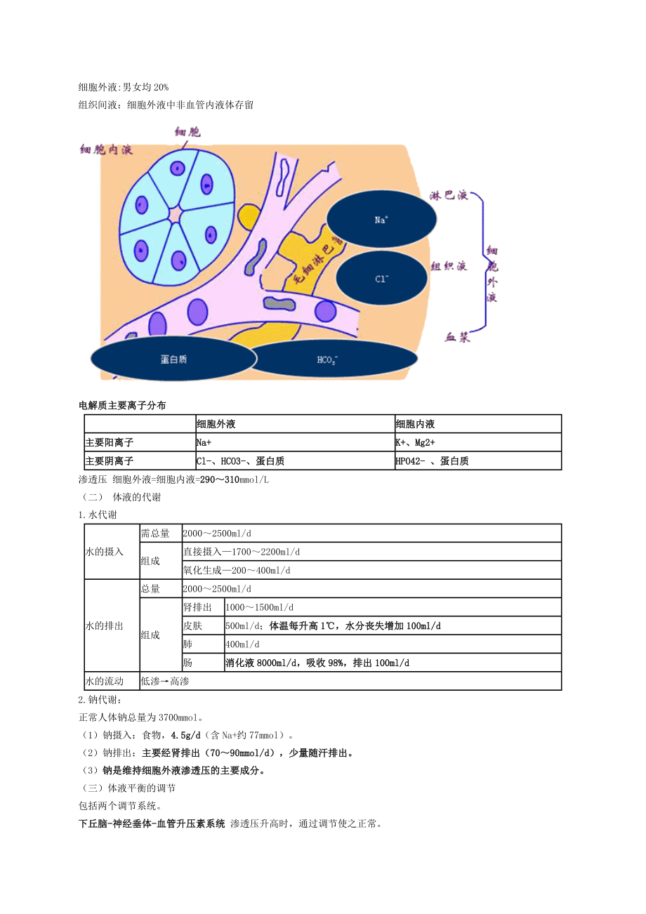 外科主治医师基础知识.doc_第2页