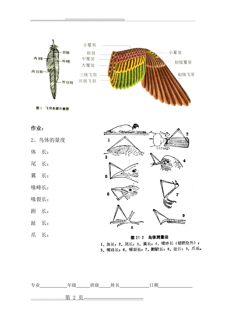 实验一：鸟类的外部形态及鸟体测量-1(3页).doc_第2页