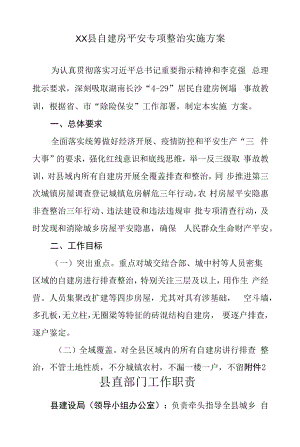 XX县自建房安全专项整治实施方案.docx