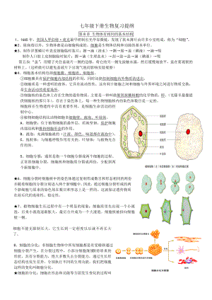 苏科版七年级下册生物期末复习提纲.doc