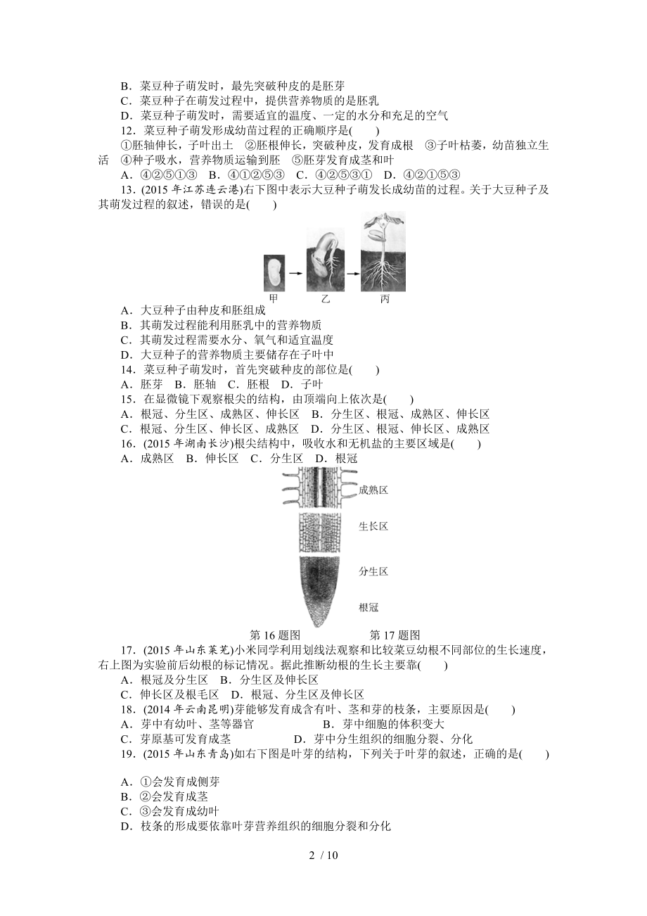 生物中考复习专题三生物圈中的绿色植物.doc_第2页