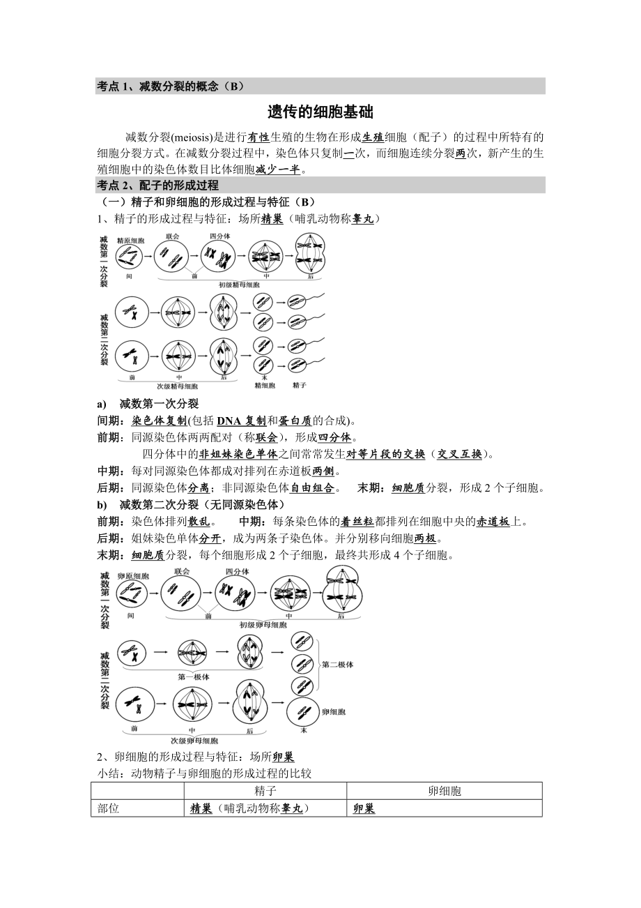 高中生物必修2遗传与进化复习提纲.doc_第1页