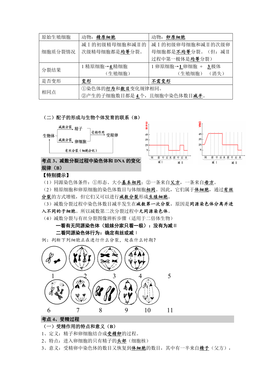 高中生物必修2遗传与进化复习提纲.doc_第2页