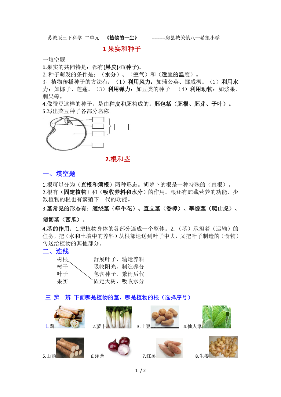 苏教版三年级科学二单元植物的一生作业练习.doc_第1页