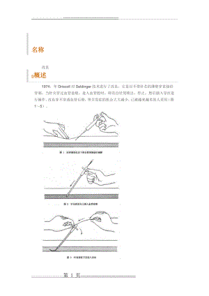 改良Seldinger穿刺法(3页).doc