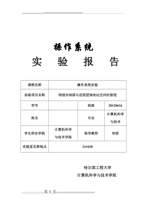 操作系统实验 第四讲 物理存储器与进程逻辑地址空间的管理(21页).doc