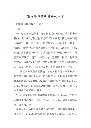 商业环境调研报告-,图文.docx