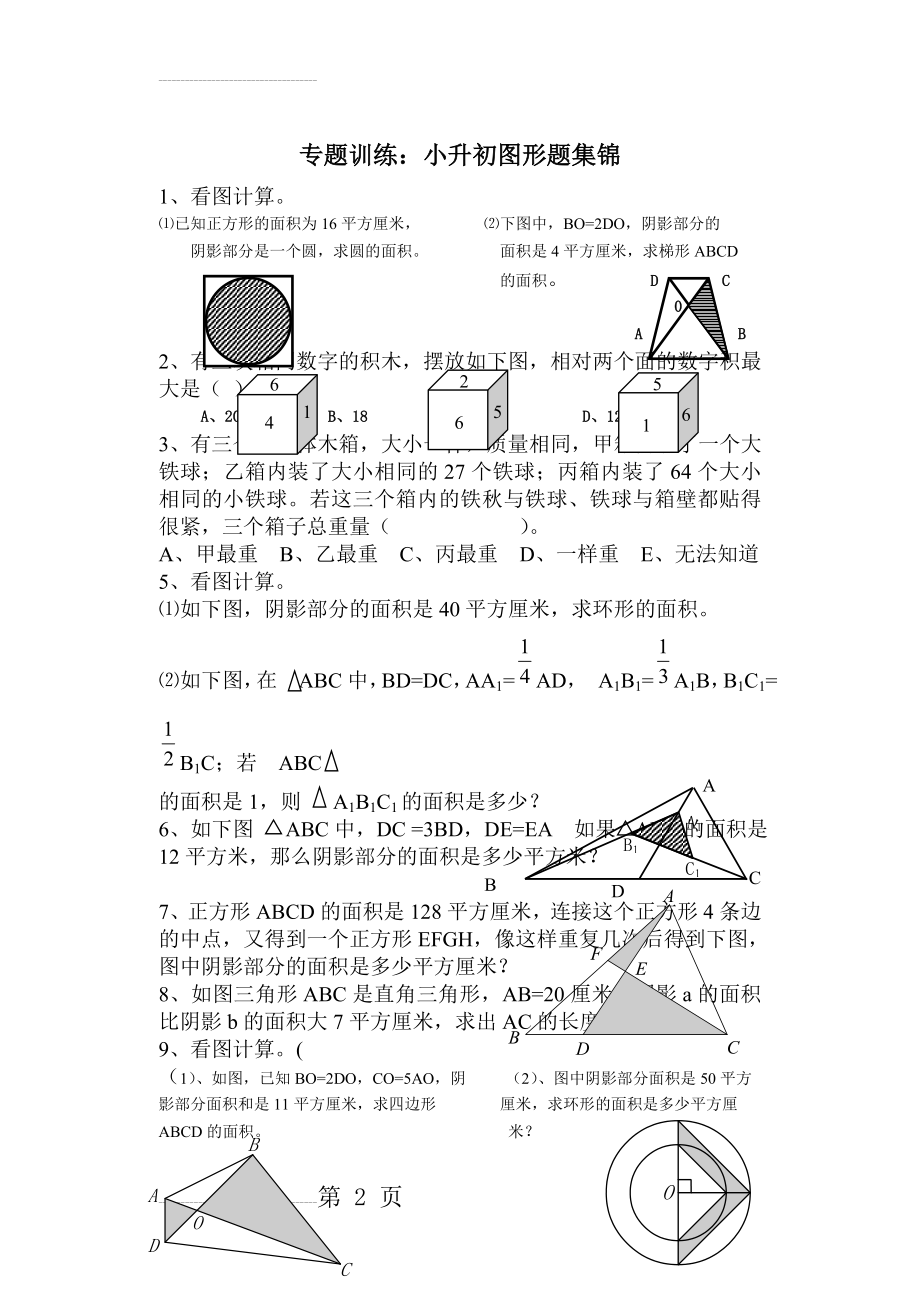 小升初数学图形专题训练(3页).doc_第2页