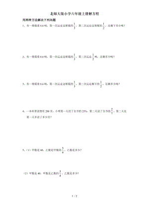 北师大版小学六年级上册解方程.doc