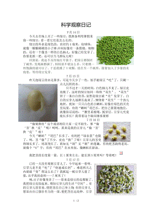 科学观察日记29360.doc